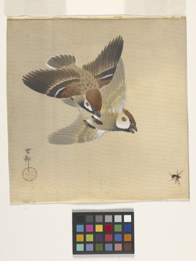 飛ぶ虫を追うスズメ（絹本に墨・彩色） 作： Ohara Koson