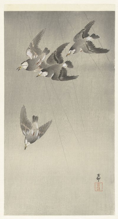 雨の中のムクドリ 作： Ohara Koson