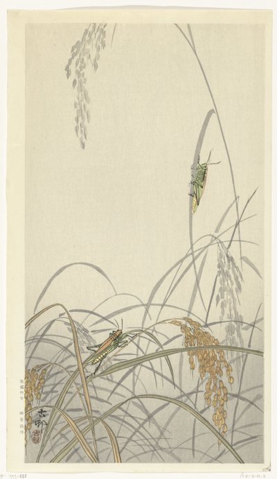 イネのバッタ 作： Ohara Koson