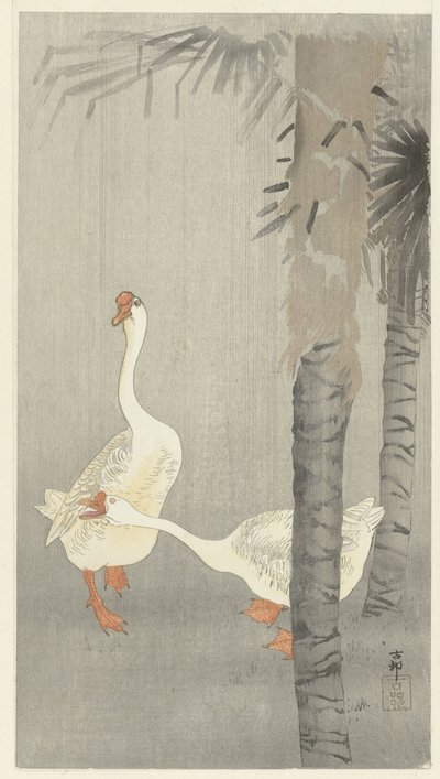雨の中でタンメ 作： Ohara Koson