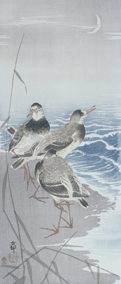 葦の前の水辺にいる3羽のシギ（カラー木版画 作： Ohara Koson