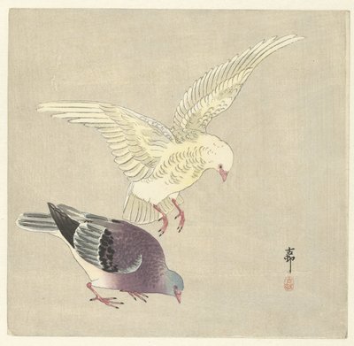 二羽のハト 作： Ohara Koson