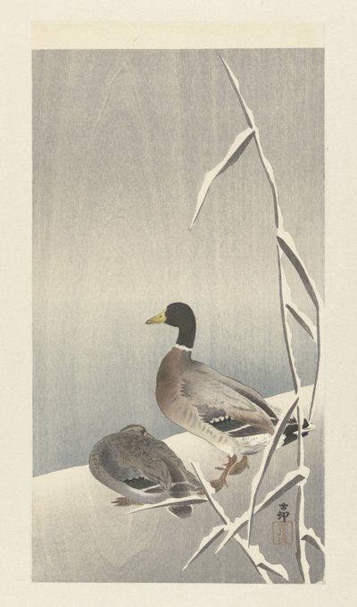 雪に覆われた葦原の 2 羽のアヒル 作： Ohara Koson