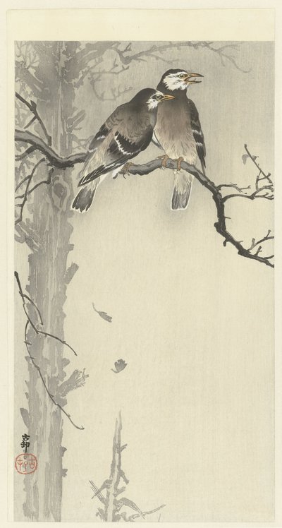 2 つのムクドリ 作： Ohara Koson
