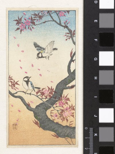 開花木の近くの 2 つの大きなおっぱい 作： Ohara Koson