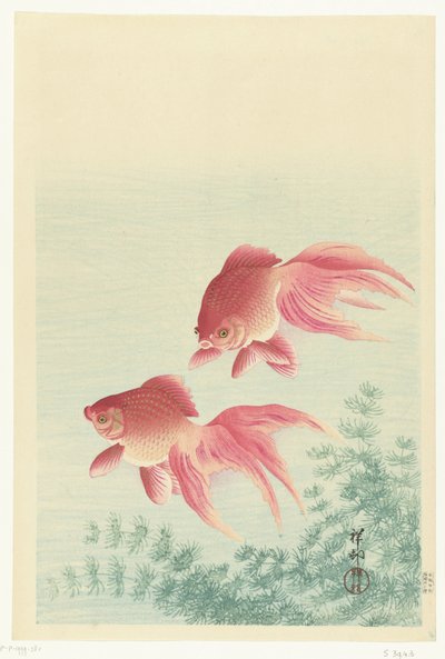 ベールテイル金魚 2匹 作： Ohara Koson