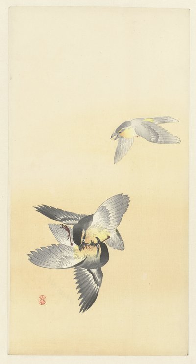 二羽の闘鳥 作： Ohara Koson