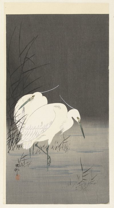 葦の 2 つの白鷺 作： Ohara Koson
