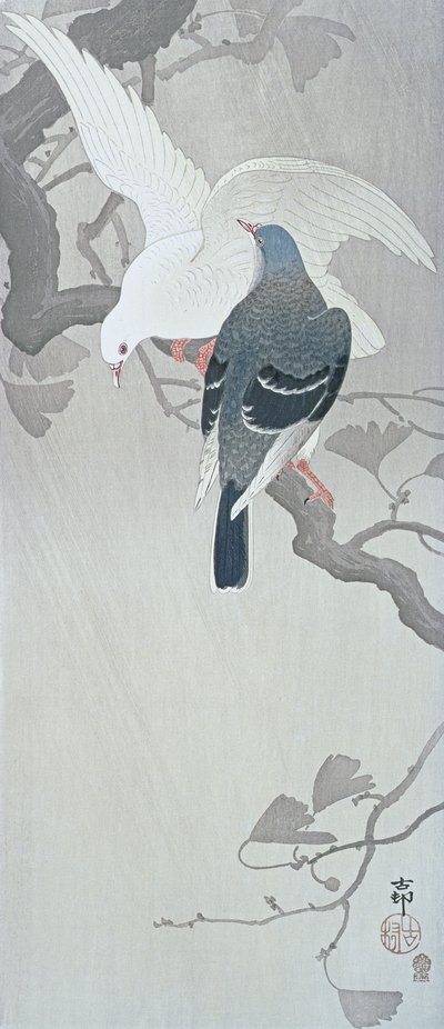 銀杏の枝で雨に打たれる2羽の鳩 作： Ohara Koson