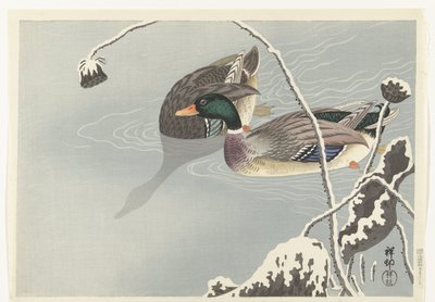 雪に覆われた蓮の近くの 2 つのマガモ 作： Ohara Koson