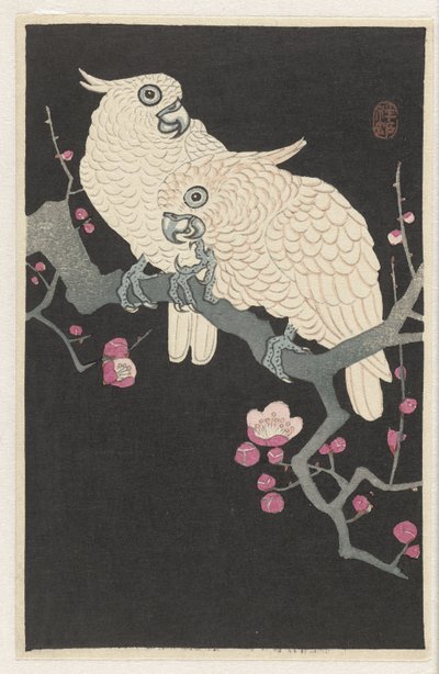 2 つのオウムと梅の花 作： Ohara Koson