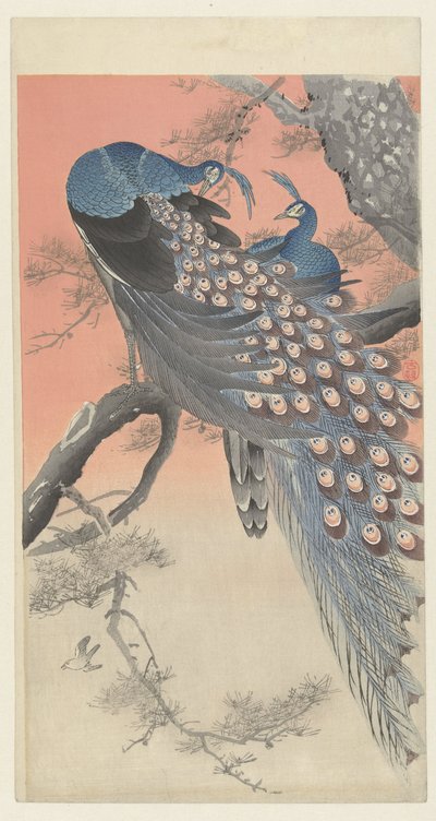 木の枝の上の2羽の孔雀 作： Ohara Koson