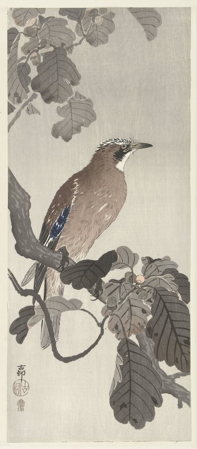 木の枝にフレミッシュ ジェイ 作： Ohara Koson