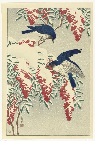 ナンテンの茂みのヒタキ 作： Ohara Koson