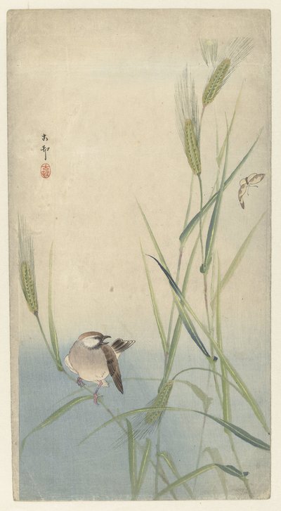 鳥と蝶 作： Ohara Koson