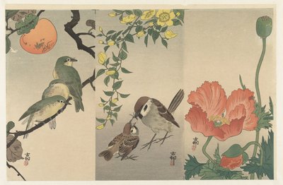 鳥と植物 作： Ohara Koson