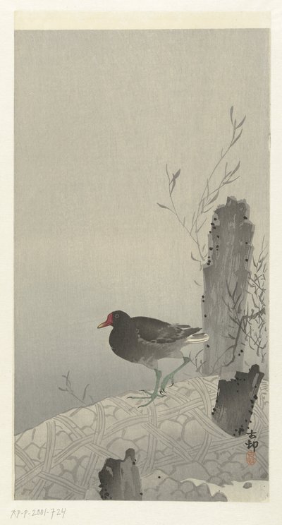 ウォーターホーエン 作： Ohara Koson