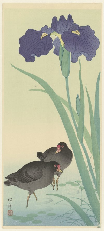 Moorhens とアイリス。 作： Ohara Koson