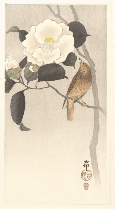 鳴き鳥と咲く椿 作： Ohara Koson