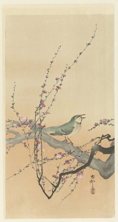鳴き鳥と梅の花。 作： Ohara Koson