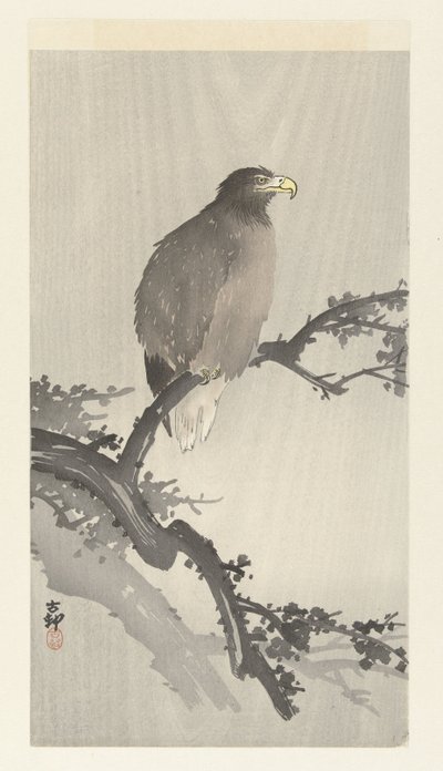 枝にオジロワシ 作： Ohara Koson
