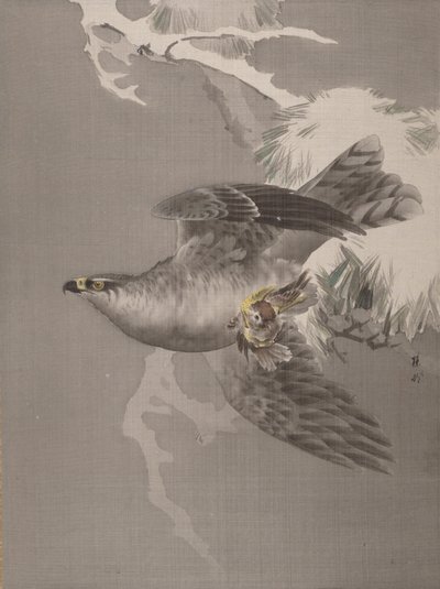 小鳥を抱く鷹、約。 1891-92。 作： Okada Baison
