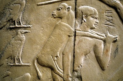 犠牲動物を運ぶ男を描いたレリーフの詳細 作： Old Kingdom Egyptian