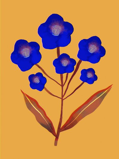 鮮やかな青い花 作： 