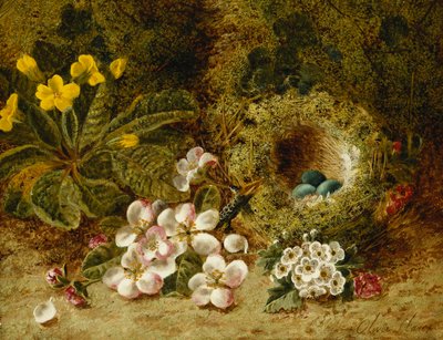 苔の花の銀行のプリムローズと鳥の巣、アップルブロッサム 作： Oliver Clare