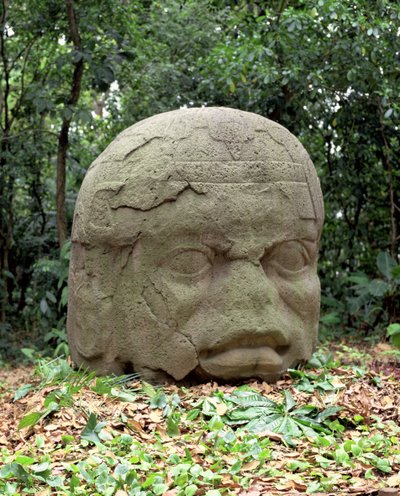 巨大ヘッド26、前古典期 作： Olmec