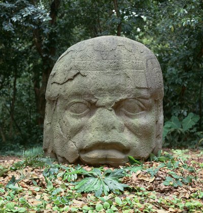 Colossal Head 4、前古典期 作： Olmec