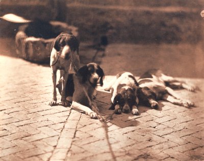 狩猟犬 1853年頃（塩版画） 作： Olympe Aguado