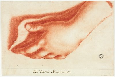 左手の石膏模型 作： Onorio Marinari