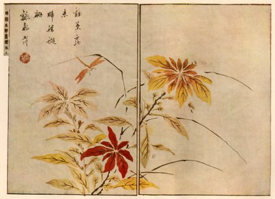 植物とトンボ、1746年、1924年。 作： Ooka Shunboku