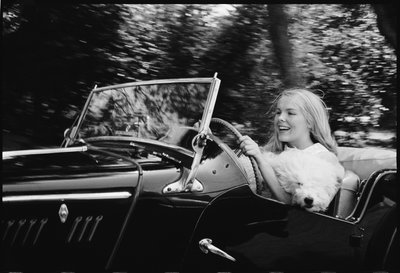 犬を連れてドライブするジャネット・ランドガード 作： オーランド・スエロ