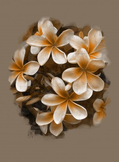  作： Osvaldo Russo