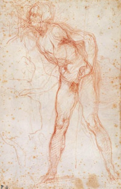 左を向いた男性ヌードの習作 作： Ottavio Vannini