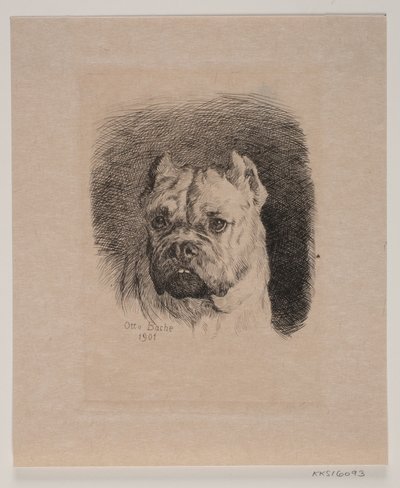 犬の頭 作： Otto Bache
