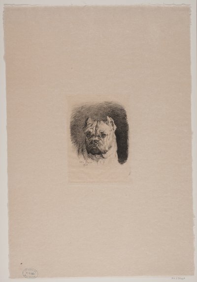犬の頭 作： Otto Bache