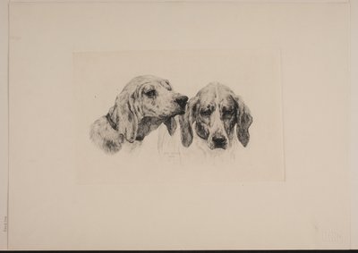2 つの犬の頭 作： Otto Bache