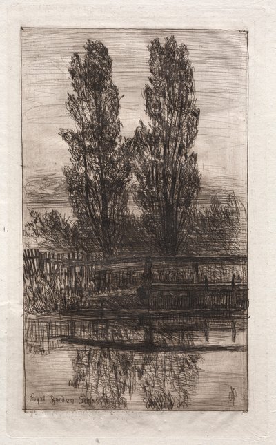 ポプラ、ロイヤルガーデン、シュライスハイム、1879年。 作： Otto H. Bacher