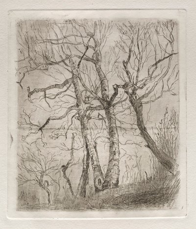 木、1878年。 作： Otto H. Bacher
