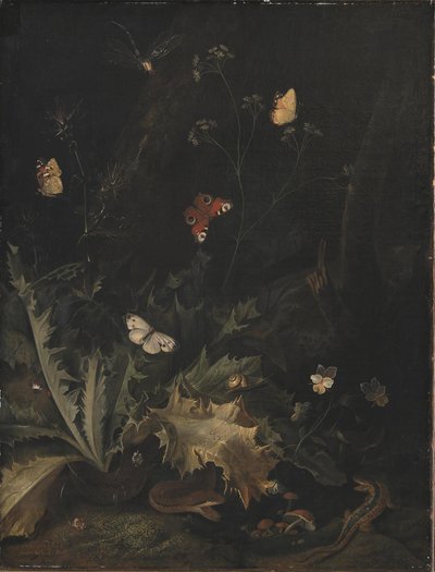 アザミ、ヘビ、トカゲ、蝶がいる林床 作： Otto Marseus  van Schrieck