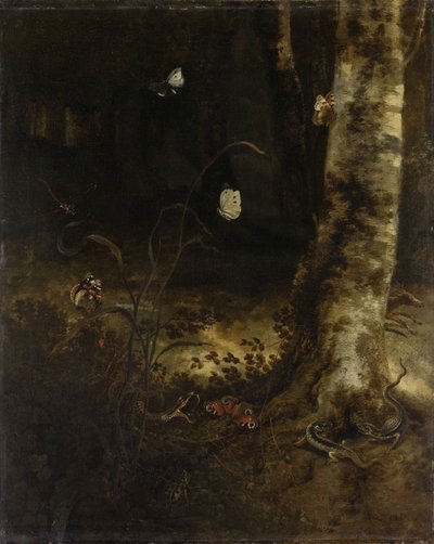 ヘビ、トカゲ、蝶、その他の昆虫がいる林床 作： Otto Marseus  van Schrieck