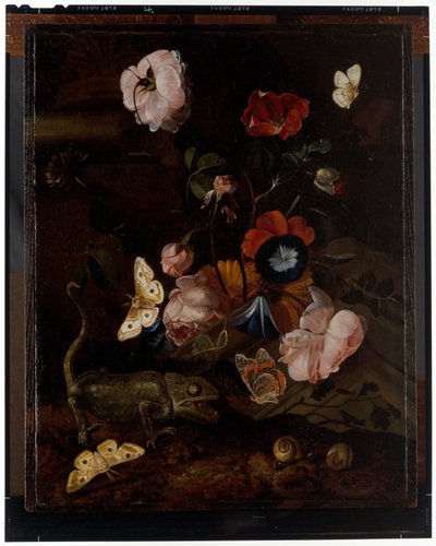 森の静物 作： Otto Marseus  van Schrieck