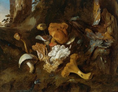 森の中の静物画（キノコ、蝶、蛇付き 作： Otto Marseus  van Schrieck