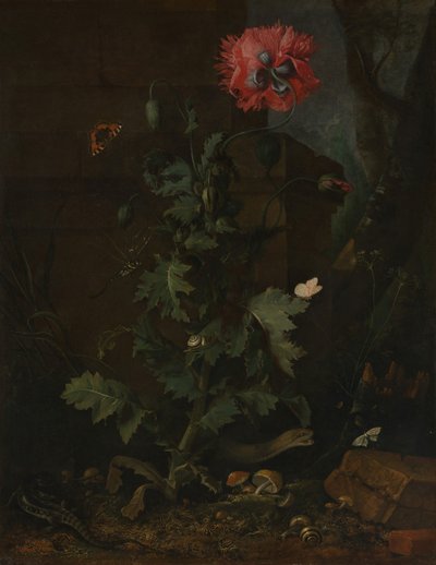 ポピー、昆虫、爬虫類のある静物1670。 作： Otto Marseus  van Schrieck
