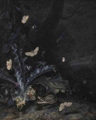 アザミと蛇のある静物 作： Otto Marseus  van Schrieck