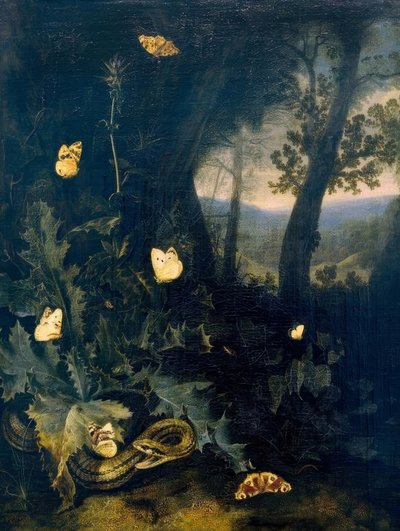 アザミとヘビの林床 作： Otto Marseus  van Schrieck