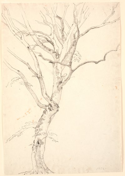 落葉したブナの木 作： P.C. Skovgaard